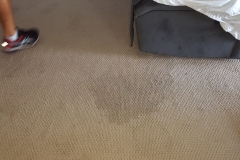 Stain Removal_1