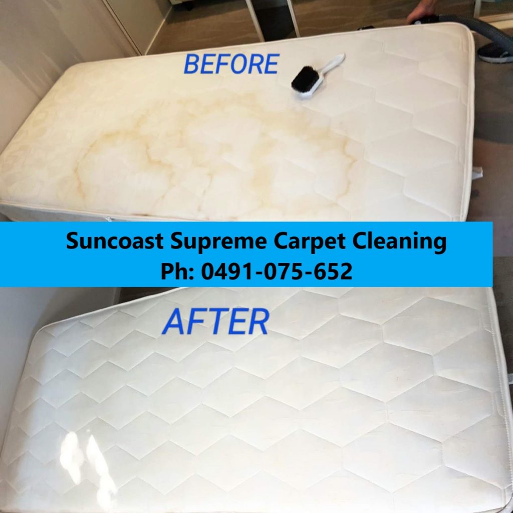 Mattress Steam Cleaning